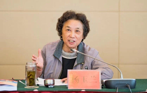 原昆明市中级人民法院院长、省委巡查组组长，昆明中共党史学会副会长杨玉兰同志发言